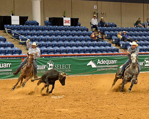 NVS_7483-J.HORTON RELEASED WEB500.jpg